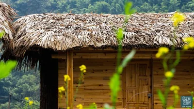 Joy House Sapa – Photos 8